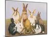 Lucky Rabbits-Pat Scott-Mounted Giclee Print