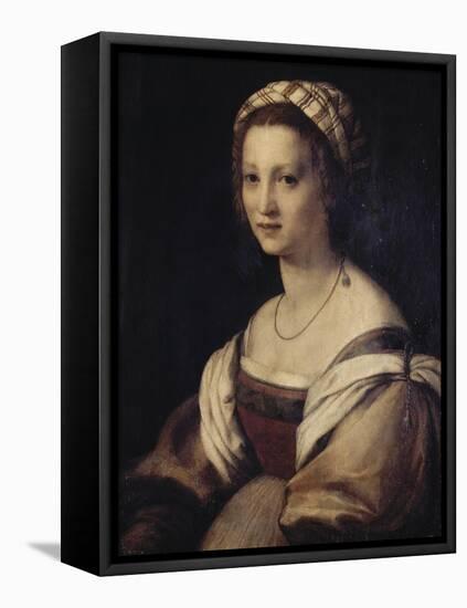 Lucrecia Baccio Del Felde-Andrea del Sarto-Framed Stretched Canvas