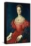 Lucrezia Panchiatichi, C1540-Agnolo Bronzino-Framed Stretched Canvas