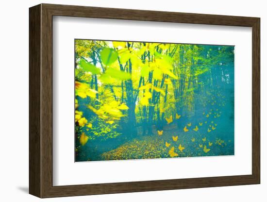 Lucubration-Viviane Fedieu Daniel-Framed Photographic Print