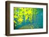 Lucubration-Viviane Fedieu Daniel-Framed Photographic Print