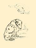 Timothy Black-Scottish Terrier-Lucy Dawson-Art Print