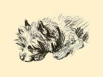 Cairn Terrier-Lucy Dawson-Framed Art Print