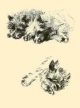 Dogs, Cairn and Wire Terrier, Dawson-Lucy Dawson-Art Print