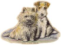 Sally The Cairn Terrier-Lucy Dawson-Art Print