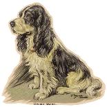 Dogs, Cocker Spaniel, Dawson-Lucy Dawson-Art Print