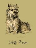 Dogs, Cairn and Wire Terrier, Dawson-Lucy Dawson-Art Print