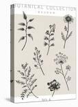 Botanical Collection - Woodland-Lucy Francis-Stretched Canvas