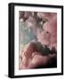 Lucy in the Sky-Design Fabrikken-Framed Photographic Print