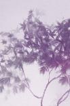 Misty Tree - Hush-Lucy Meadows-Giclee Print