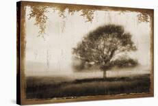 Misty Tree-Lucy Meadows-Giclee Print