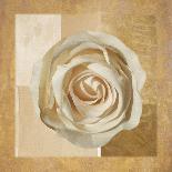 Warm Rose II-Lucy Meadows-Giclee Print