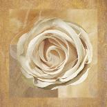 Warm Rose I-Lucy Meadows-Giclee Print