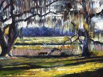 Lowcountry Spanish Moss Escape-Lucy P. McTier-Framed Giclee Print