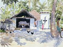 Clearing Leaves, Senegal, 2003-Lucy Willis-Giclee Print