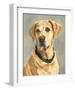 Lucy Yellow Lab-Edie Fagan-Framed Art Print