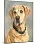 Lucy Yellow Lab-Edie Fagan-Mounted Art Print