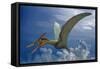 Ludodactylus Sibbicki, a Pterosaur from the Lower Cretaceous Period-null-Framed Stretched Canvas