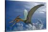 Ludodactylus Sibbicki, a Pterosaur from the Lower Cretaceous Period-null-Stretched Canvas