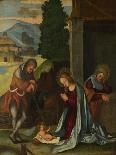 Nativity with St Bernard and St Alberico, Ca 1505-1510-Ludovico Mazzolino-Giclee Print