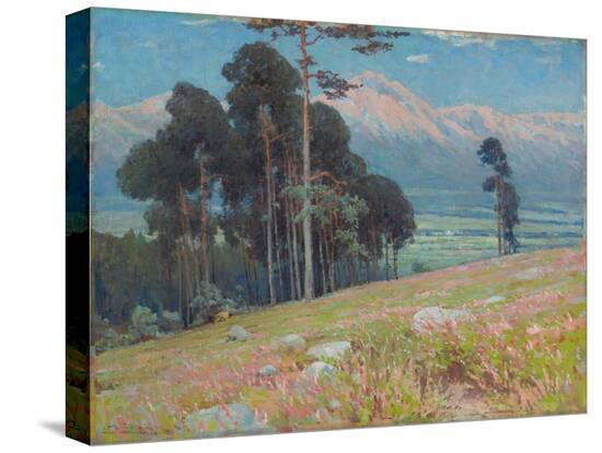 Stretched Canvas Print, , large