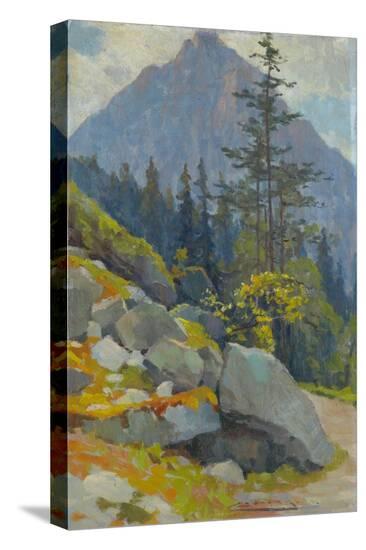 Stretched Canvas Print, , large