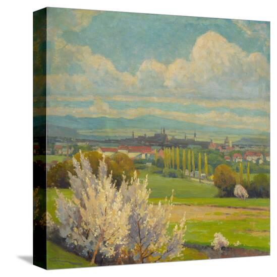 Stretched Canvas Print, , large
