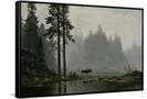Canvas Black