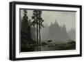 Black Frame