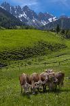 Austria, Ehrwald, Seebensee with Zugspitze-Ludwig Mallaun-Photographic Print