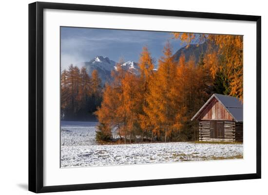 Premium Photographic Print, , large
