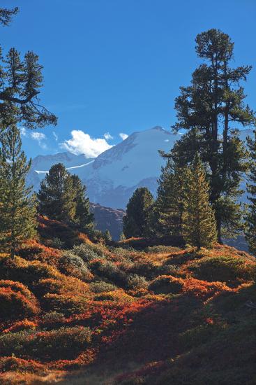 Premium Photographic Print, , large