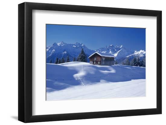 Photographic Print, , large