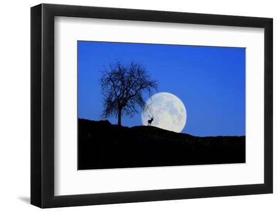 Premium Photographic Print, , large