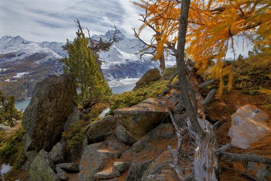 Premium Photographic Print, , large