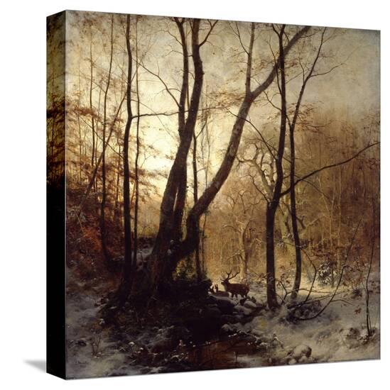 Stretched Canvas Print, , large