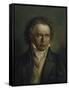 Ludwig Van Beethoven, 1816/1818-Joseph Karl Stieler-Framed Stretched Canvas