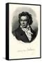 Ludwig Van Beethoven, 1884-90-null-Framed Stretched Canvas