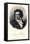 Ludwig Van Beethoven, 1884-90-null-Framed Stretched Canvas