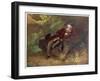 Ludwig Van Beethoven Beethoven Sitting in Some Woods-null-Framed Art Print