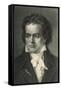 Ludwig Van Beethoven German Composer Portrait-null-Framed Stretched Canvas