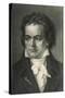 Ludwig Van Beethoven German Composer Portrait-null-Stretched Canvas