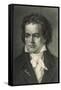 Ludwig Van Beethoven German Composer Portrait-null-Framed Stretched Canvas