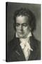 Ludwig Van Beethoven German Composer Portrait-null-Stretched Canvas