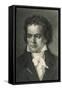 Ludwig Van Beethoven German Composer Portrait-null-Framed Stretched Canvas