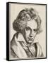 Ludwig Van Beethoven German Composer-null-Framed Stretched Canvas