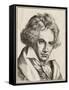 Ludwig Van Beethoven German Composer-null-Framed Stretched Canvas