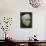 Ludwig Van Beethoven Mask Of The German Composer (42 Years)-null-Photographic Print displayed on a wall