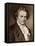 Ludwig Van Beethoven-null-Framed Stretched Canvas