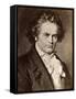 Ludwig Van Beethoven-null-Framed Stretched Canvas